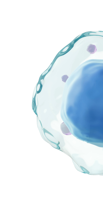 Sculptinginnateimmunity Opheader