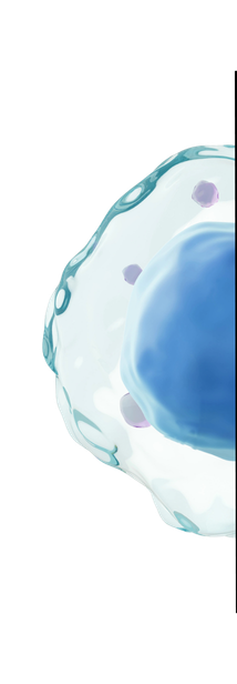 Graphic of half a amoeba