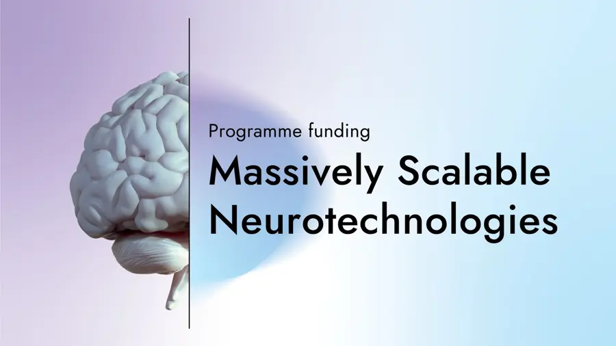 Massively Scalable Neurotechnologies Programme (2)