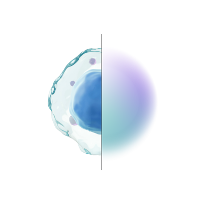 Graphic of half a amoeba with a teal and purple gradient making up the other half