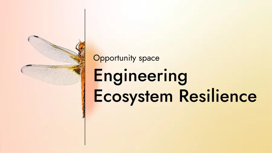 Card with the text "Opportunity Space: Engineering Ecosystem Resilience" with a graphic of half a dragonfly on a gradient background