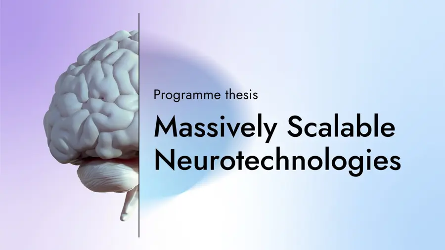 A card saying 'Programme thesis: Massively Scalable Neurotechnologies' with a graphic of a brain on a gradient background