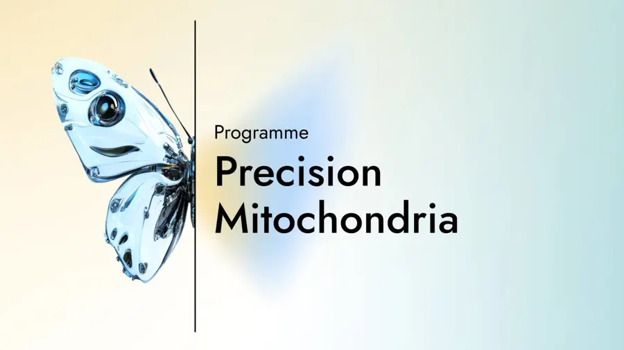 Card with the text "Programme: Precision Mitochondria" with a graphic of half a butterfly on a gradient background