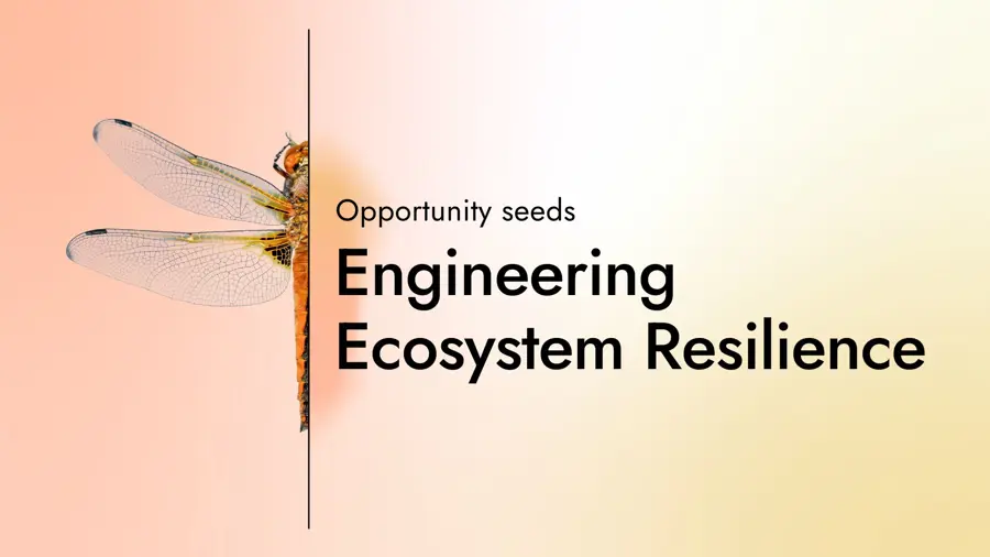 Card with the text "Opportunity seeds: Engineering Ecosystem Resilience" with a graphic of half a dragonfly on a gradient background